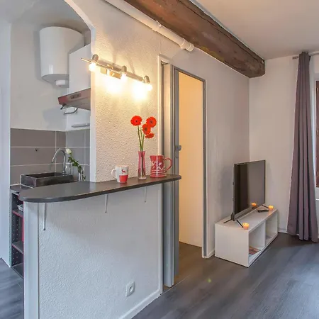 Grenette, Jardin De Ville, Hypercentre Apartmán